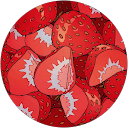 terka kosova profile picture